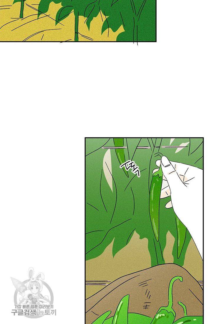 밀과 보리가 자란다 62화 22