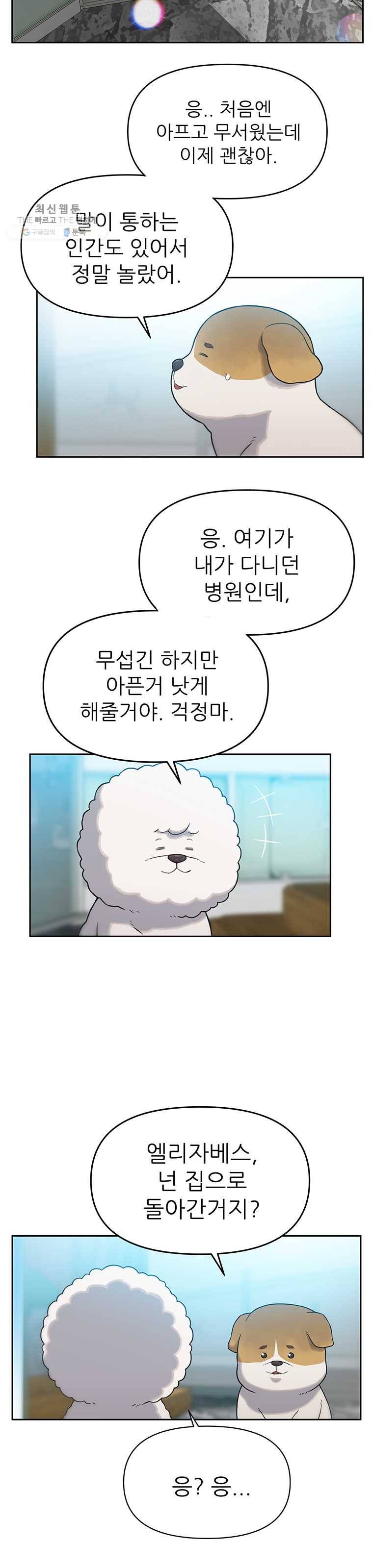 무지개다리 파수꾼 28화 8