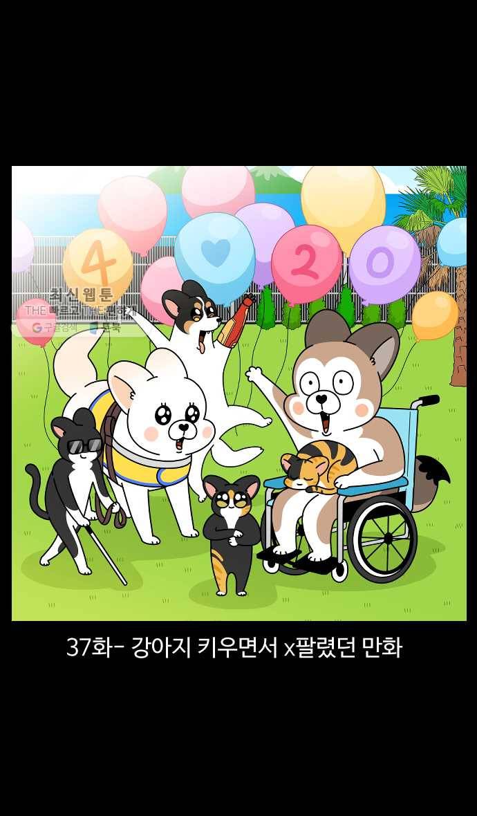 노곤하개 시즌4 37화 강아지 키우면서 x팔렸던 만화 1