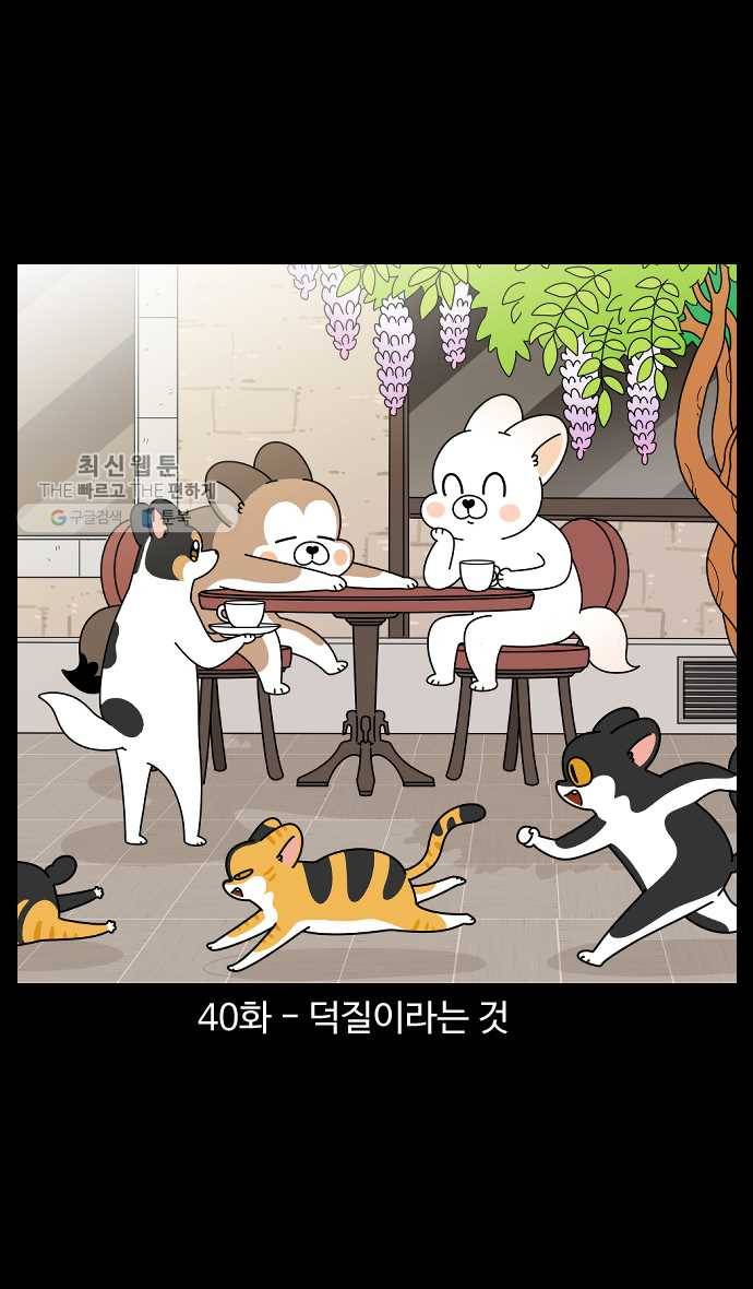 노곤하개 시즌4 40화 덕질이라는 것 1