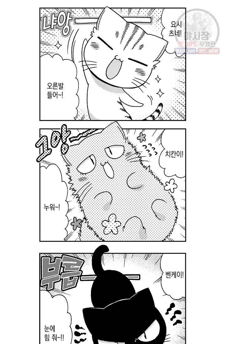 아시야 씨네 고양이 49화 3