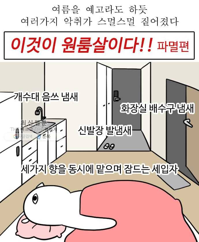 독립일기 83화 벚꽃이 왜 벌써 16