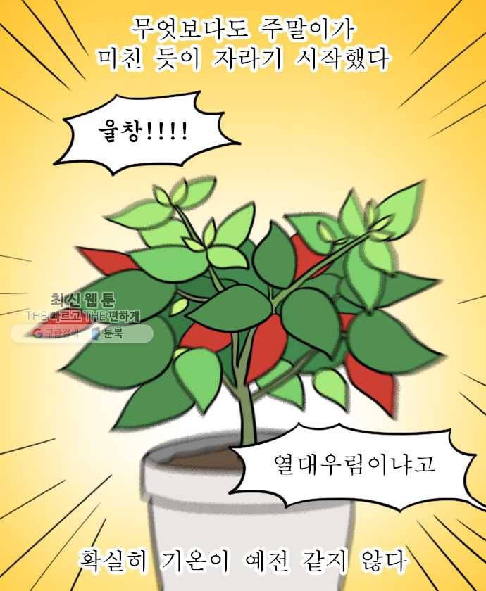 독립일기 83화 벚꽃이 왜 벌써 18