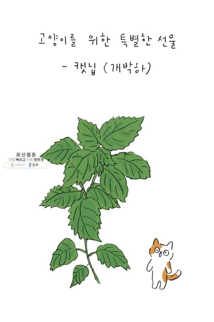 은동은동+옹동스 122화. 아무 것도 없어도 2