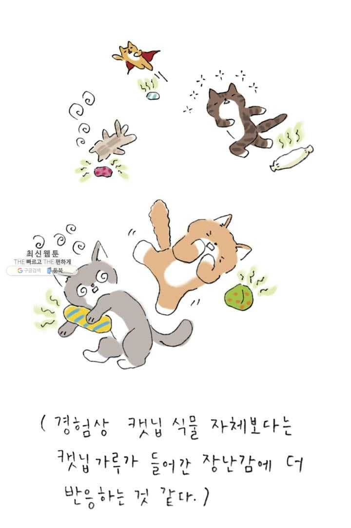은동은동+옹동스 122화. 아무 것도 없어도 3