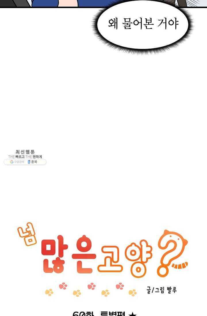 넘 많은 고양! 061화 4