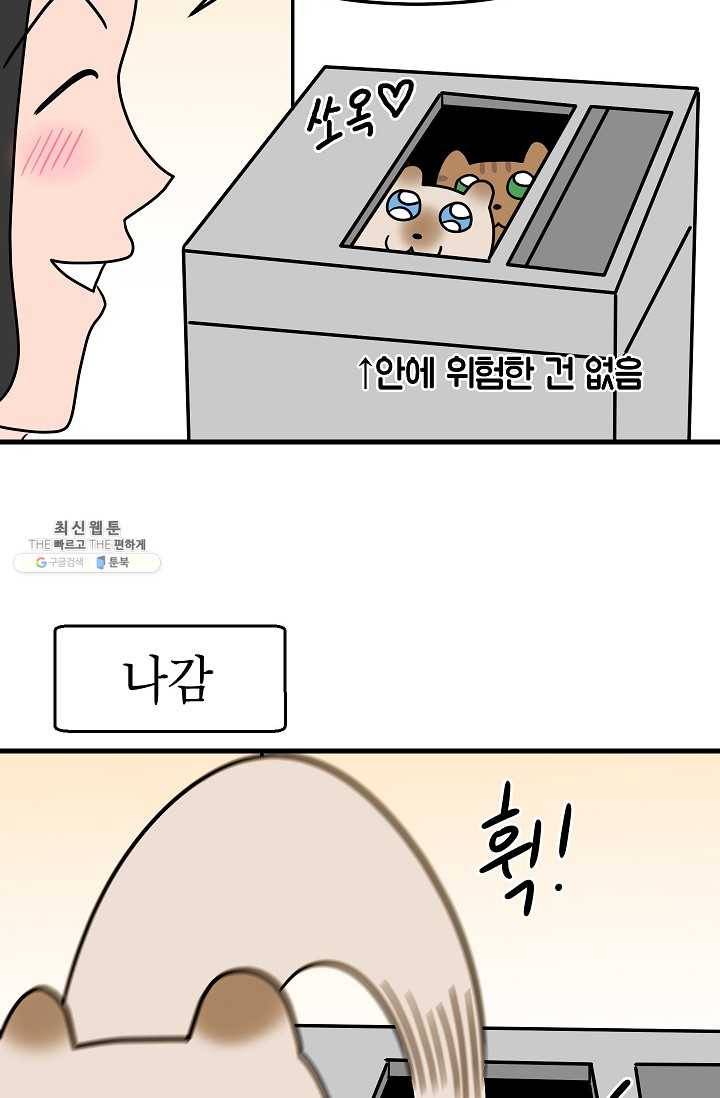 넘 많은 고양! 061화 6