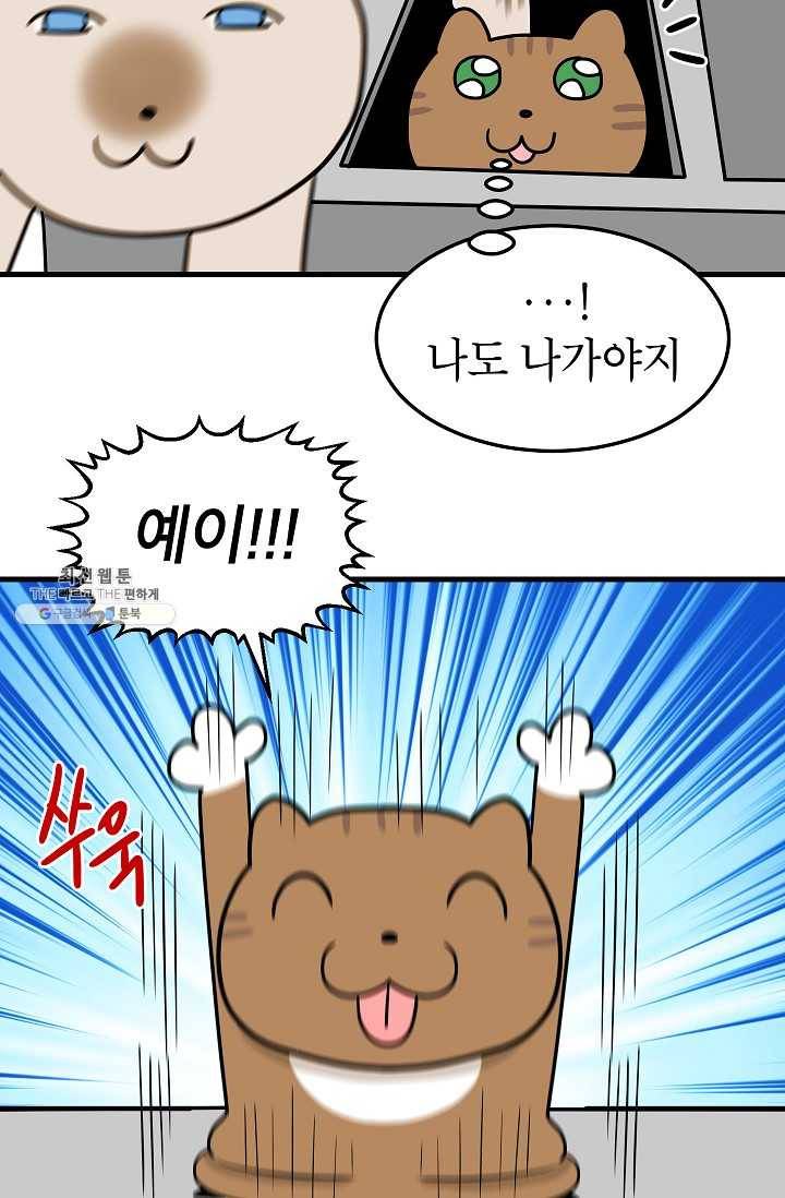 넘 많은 고양! 061화 7