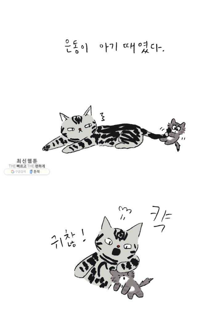 은동은동+옹동스 137화. 우리 엄니 3