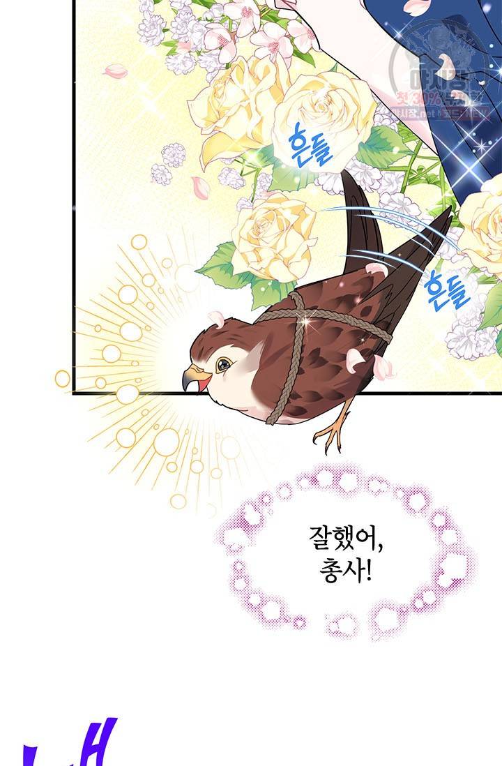 전령새 왕녀님 4화 17