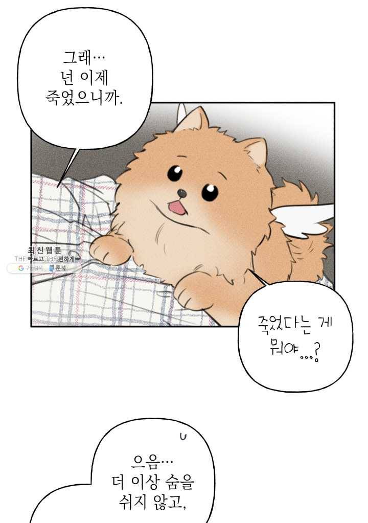 엔젤 버디 65화 13