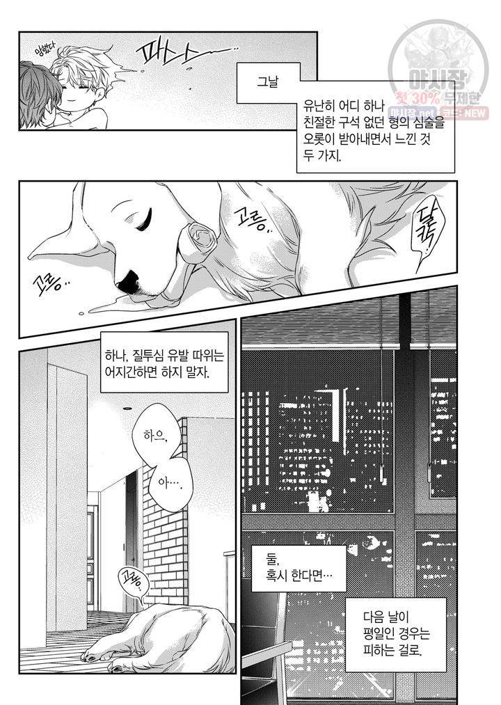 비의도적 연애담 62화 19