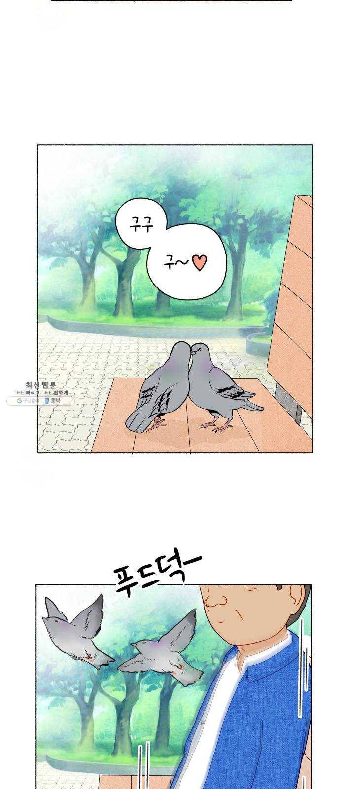 웰캄투실버라이프 49화 사랑의 조건 (3) 5