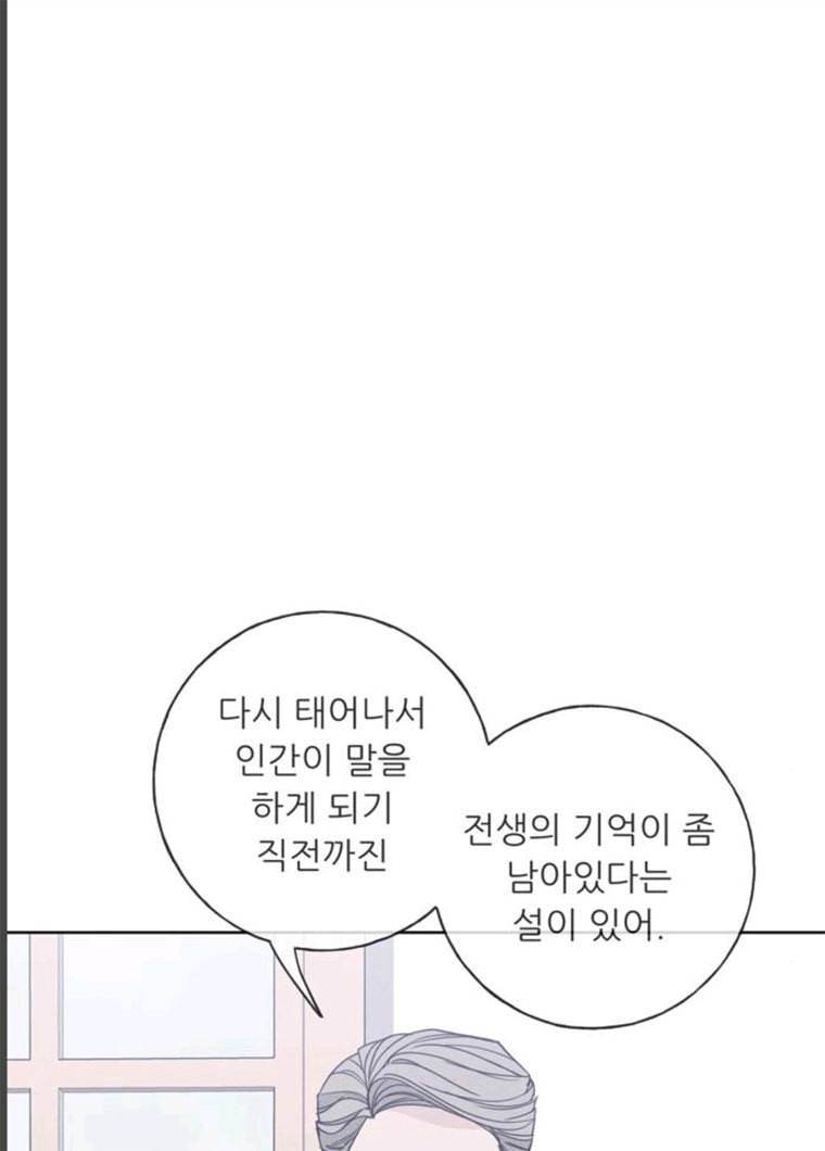 맘마미안 100화 8