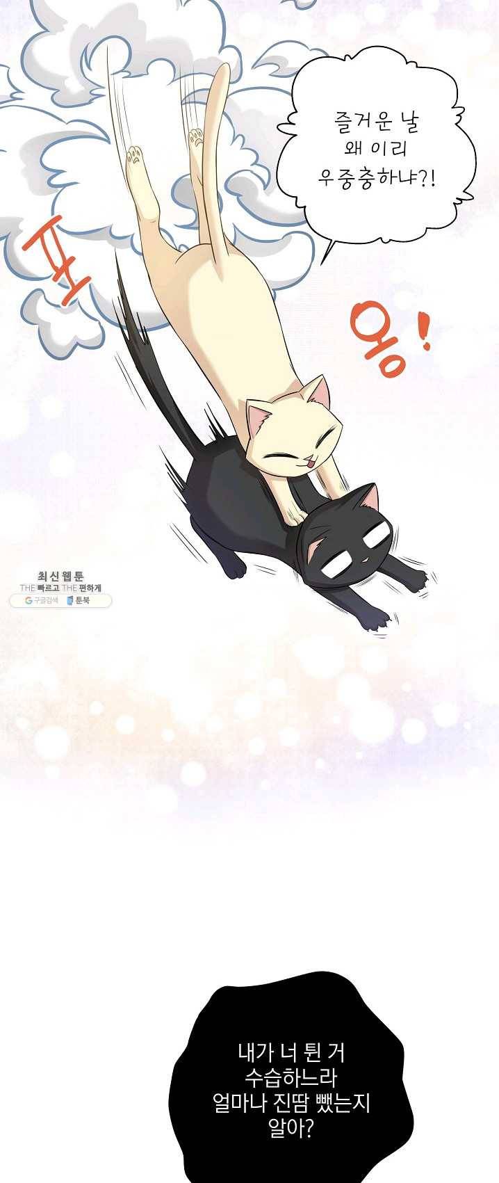 묘한 인생 99화 20