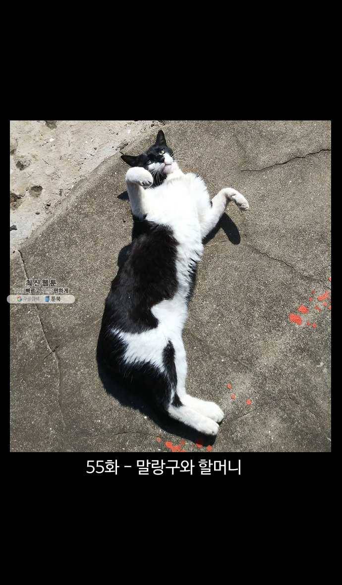 노곤하개 시즌4 55화 말랑구와 할머니 1