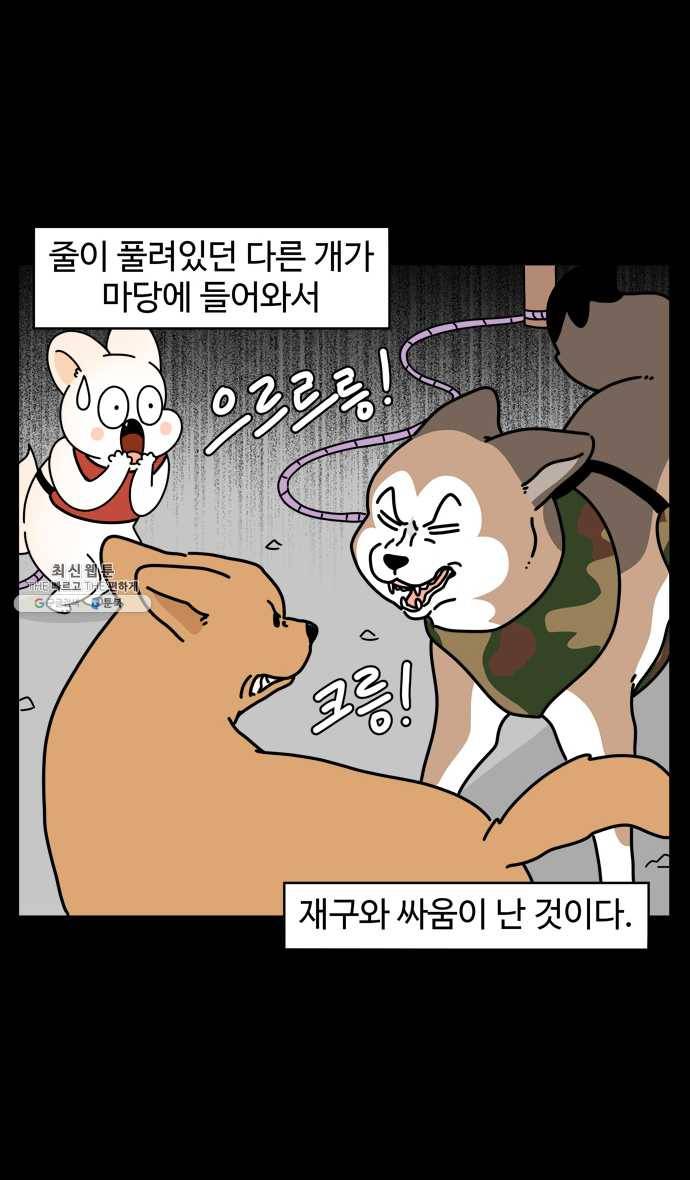 노곤하개 시즌4 55화 말랑구와 할머니 4