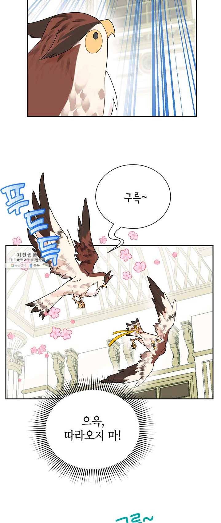 전령새 왕녀님 25화 5