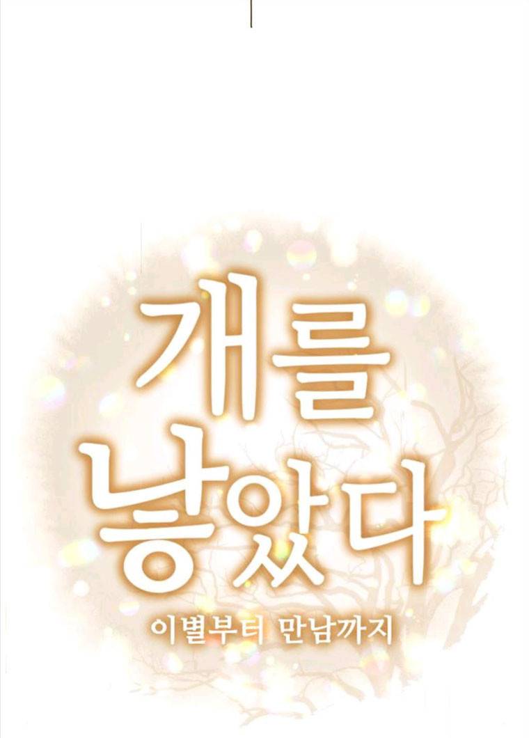 개를 낳았다 시즌2 61화 3