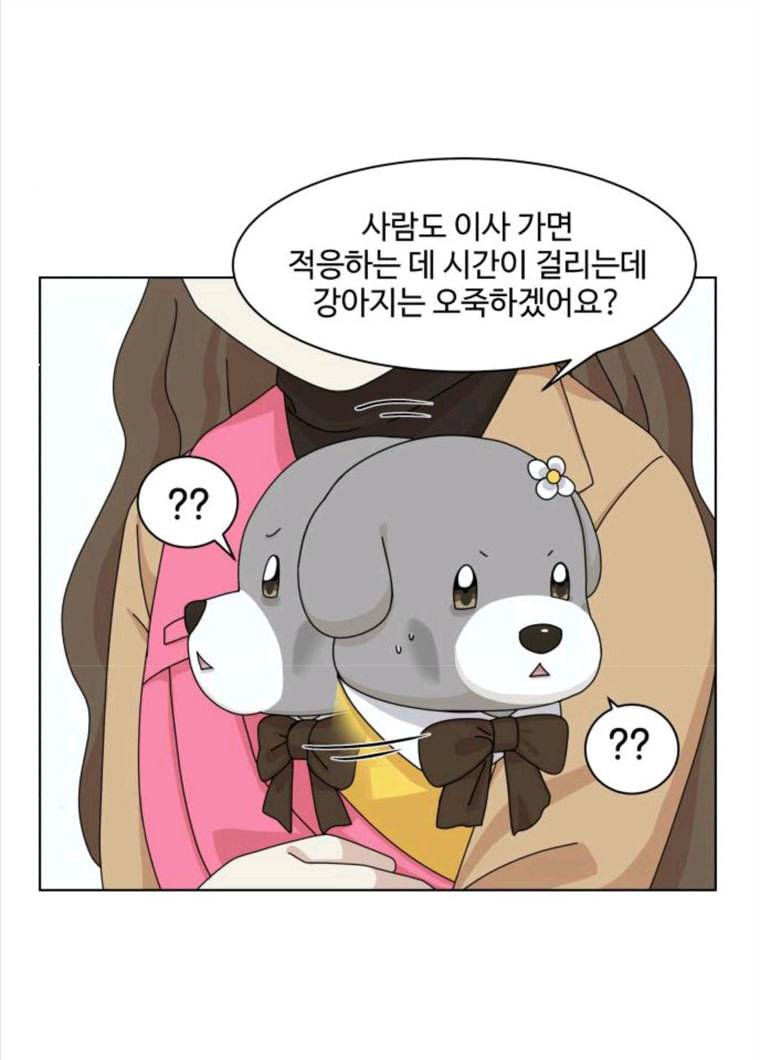 개를 낳았다 시즌2 61화 14