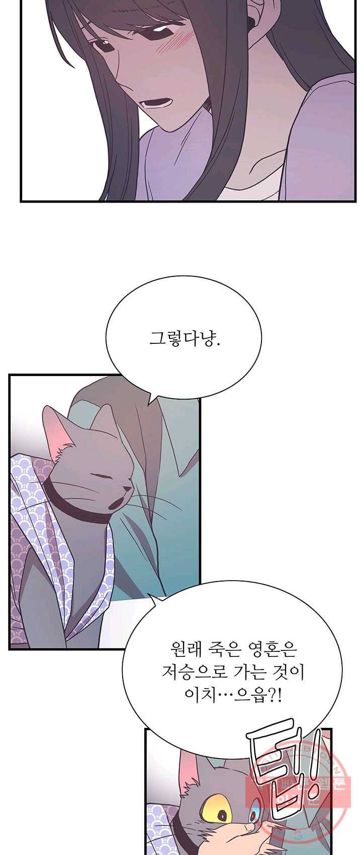 영혼의 요리사 36화 3