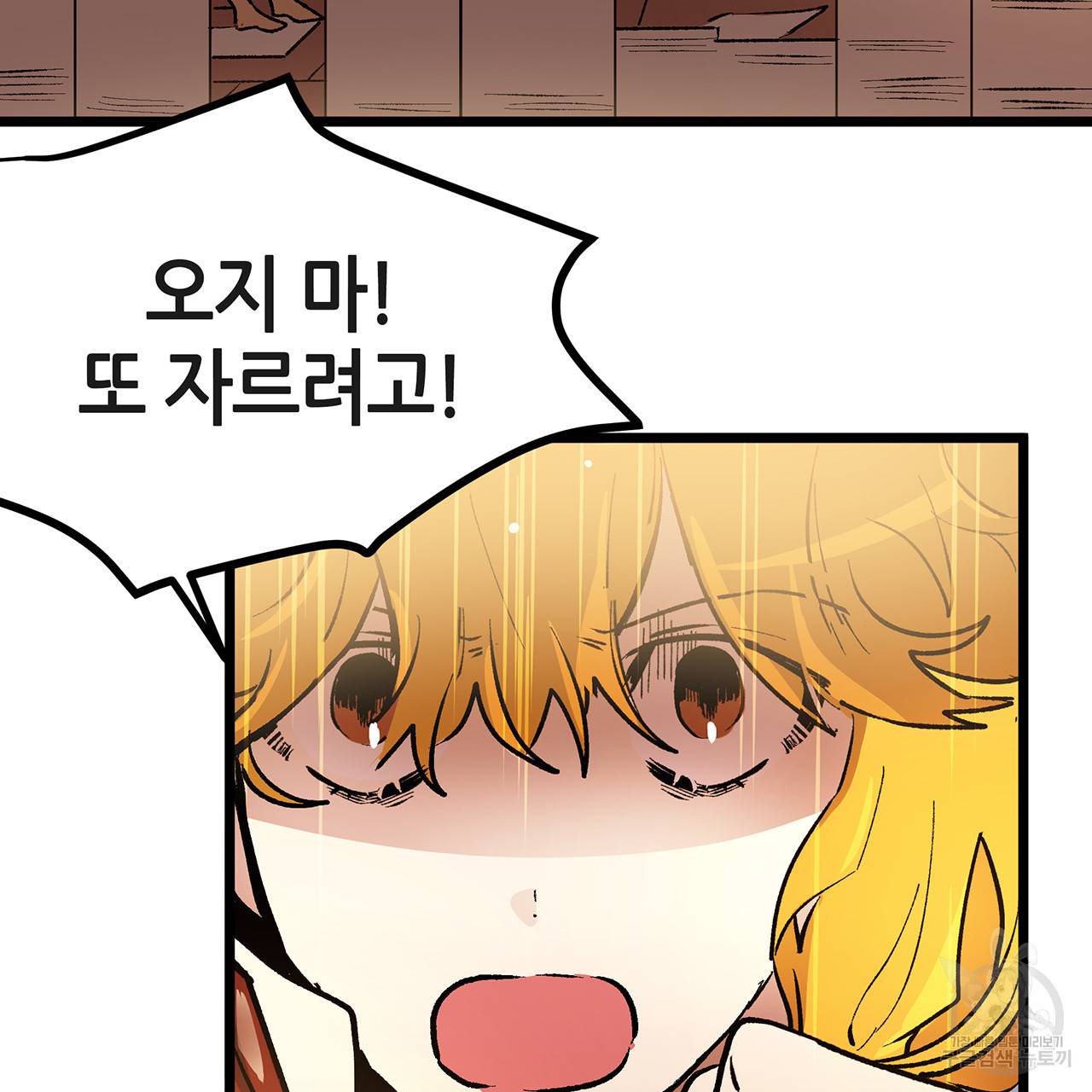 황제의 약혼녀로 산다는 것은 38화 64