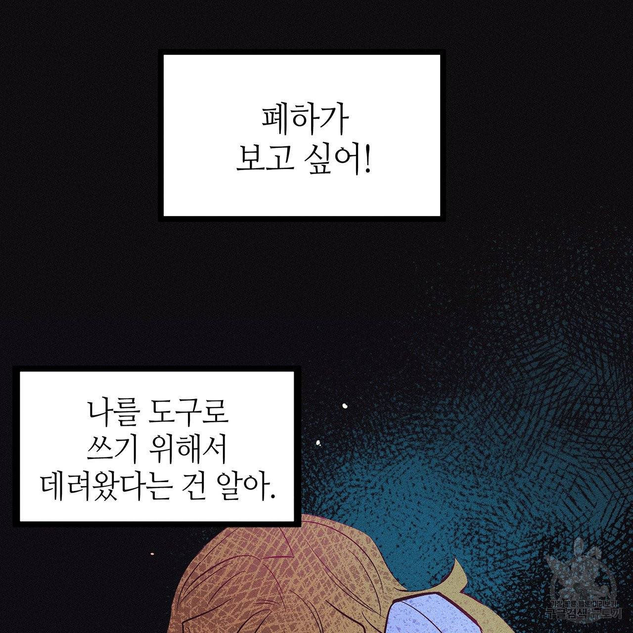 황제의 약혼녀로 산다는 것은 47화 14