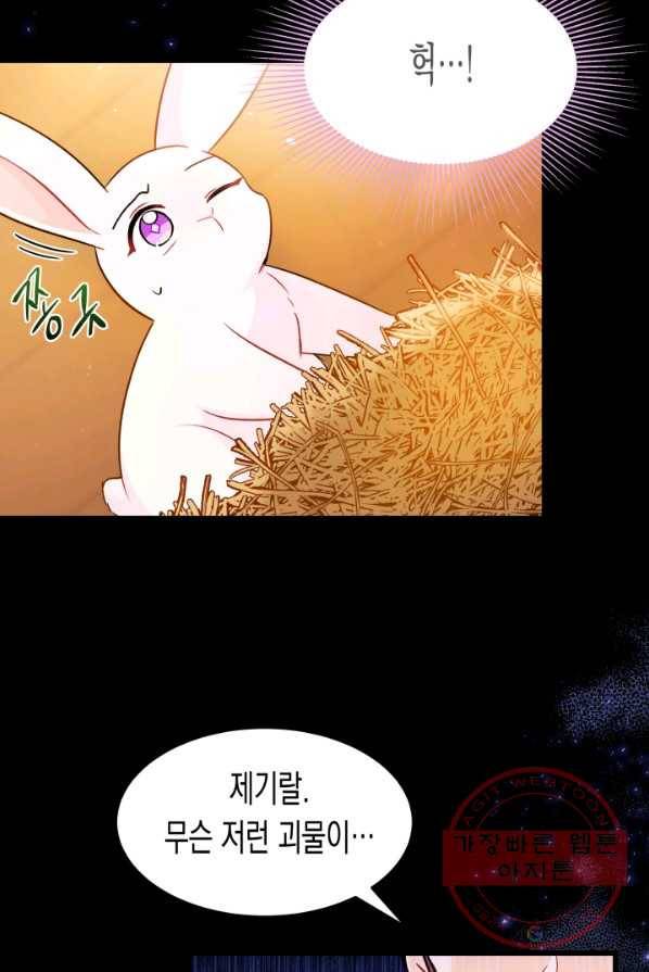 토끼와 흑표범의 공생관계 28화 21