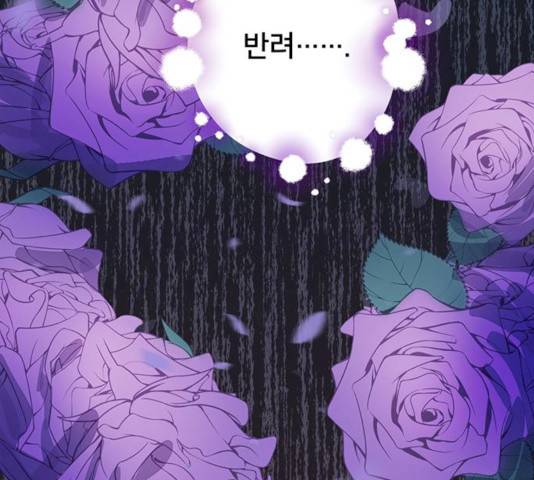그림자 신부 24화 2