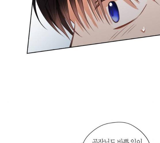 남편을 만렙으로 키우려 합니다 8화 76