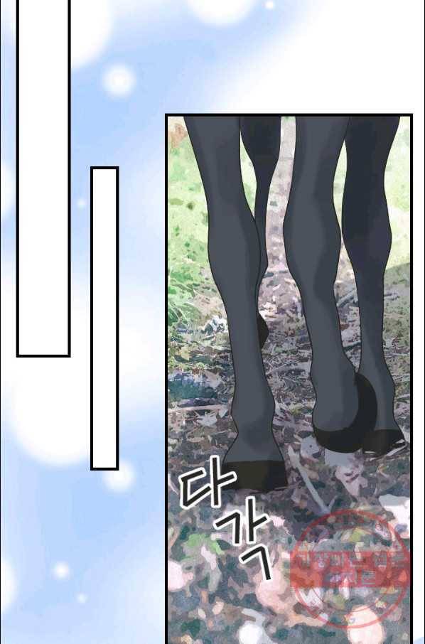 화홍 88화 37