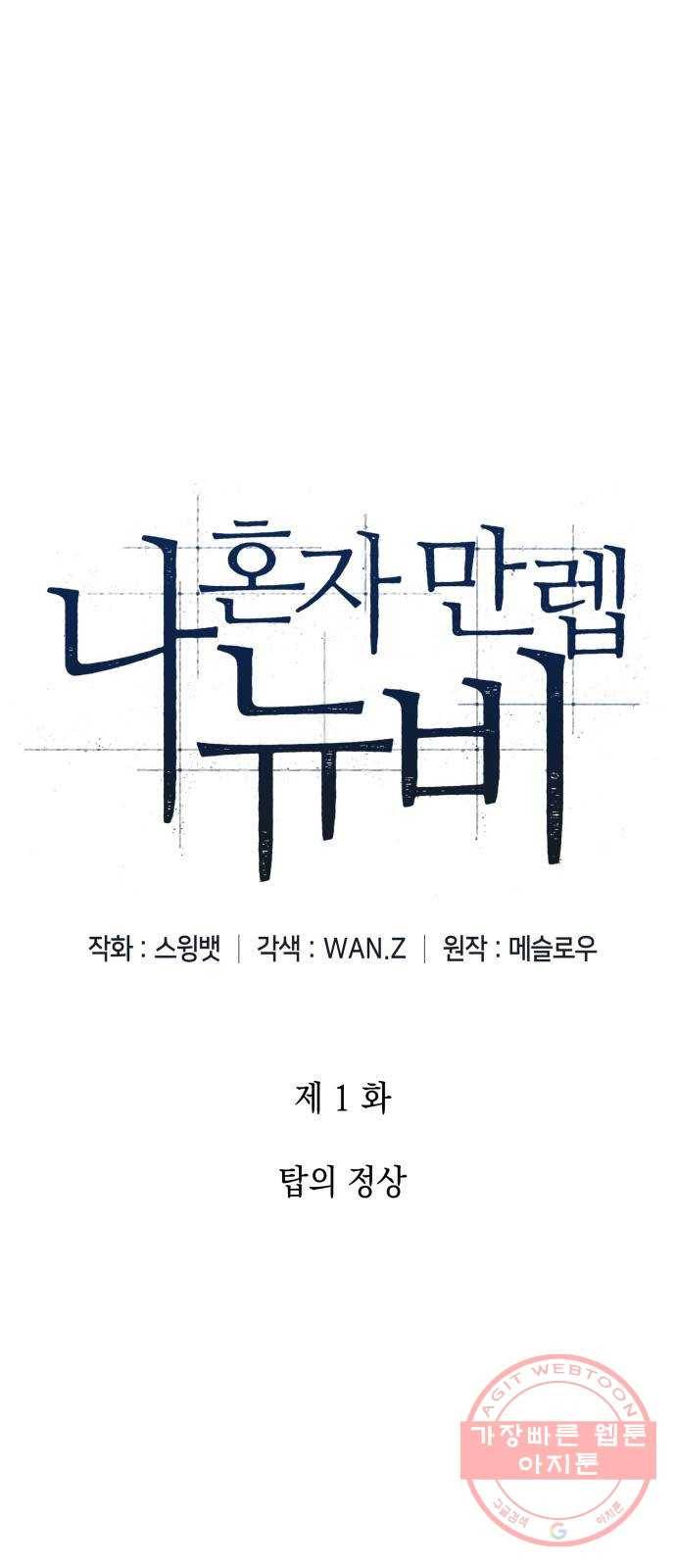 나 혼자 만렙 뉴비 01화. 탑의 정상 1