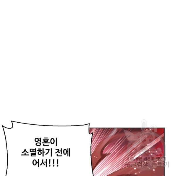 엘피스 전기:SOUL LAND 487화 77
