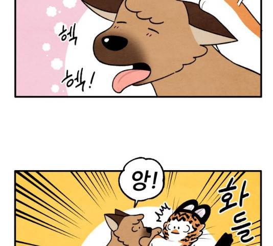 범이올시다! 67화 37