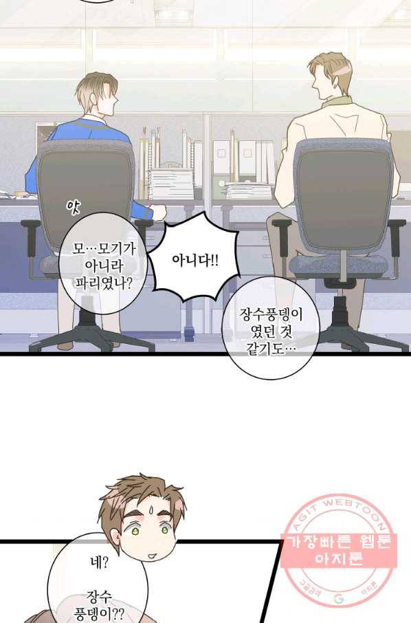센티멘탈 리즌 33화 12