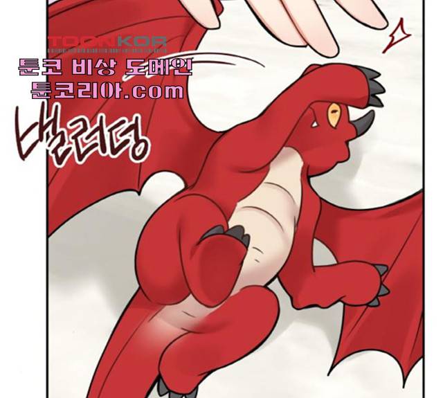 마녀와 용의 신혼일기 51화 155