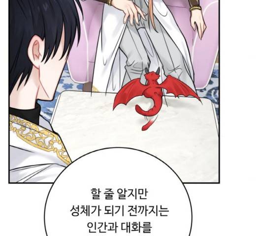 마녀와 용의 신혼일기 51화 161