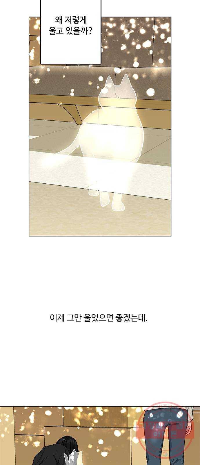 단편.zip 48화 고양이는 다시 돌아온다 - 김호랑 작가 2