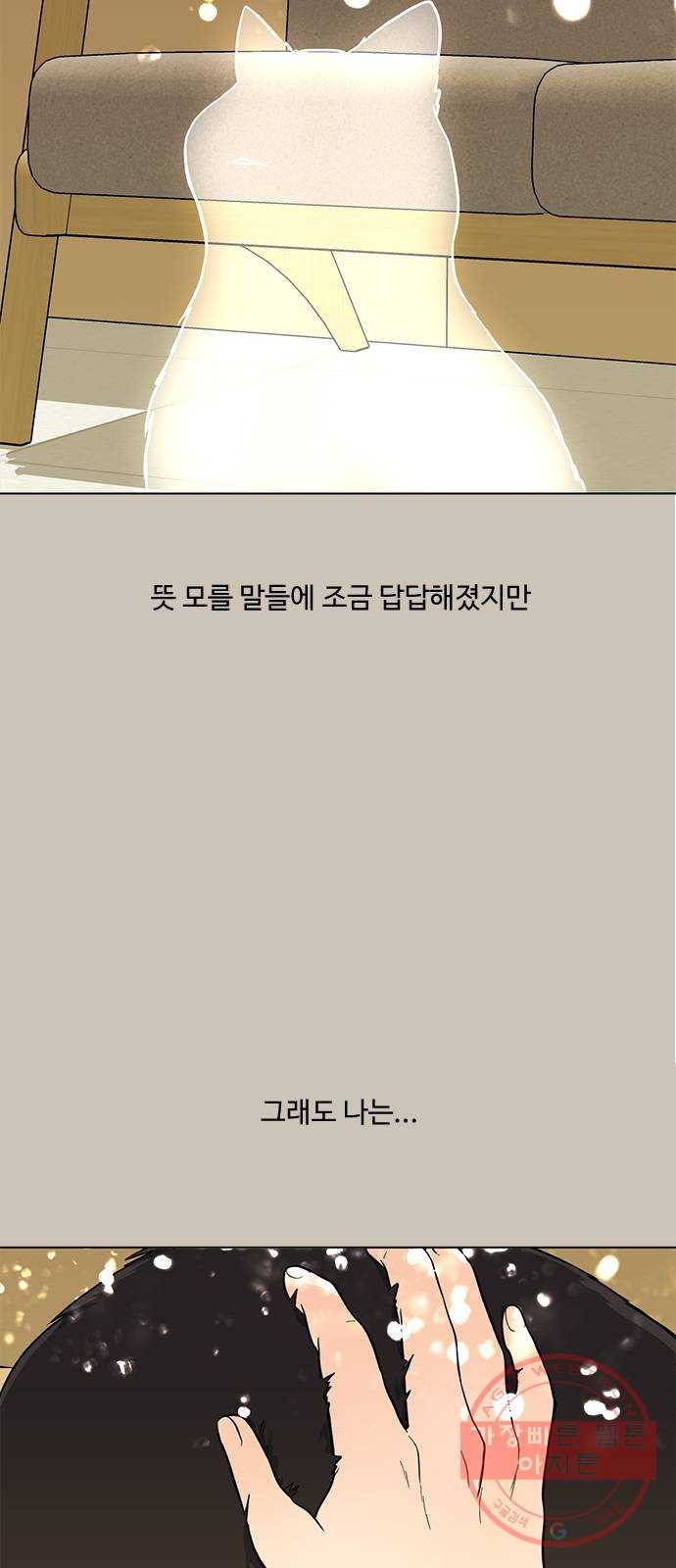 단편.zip 48화 고양이는 다시 돌아온다 - 김호랑 작가 5