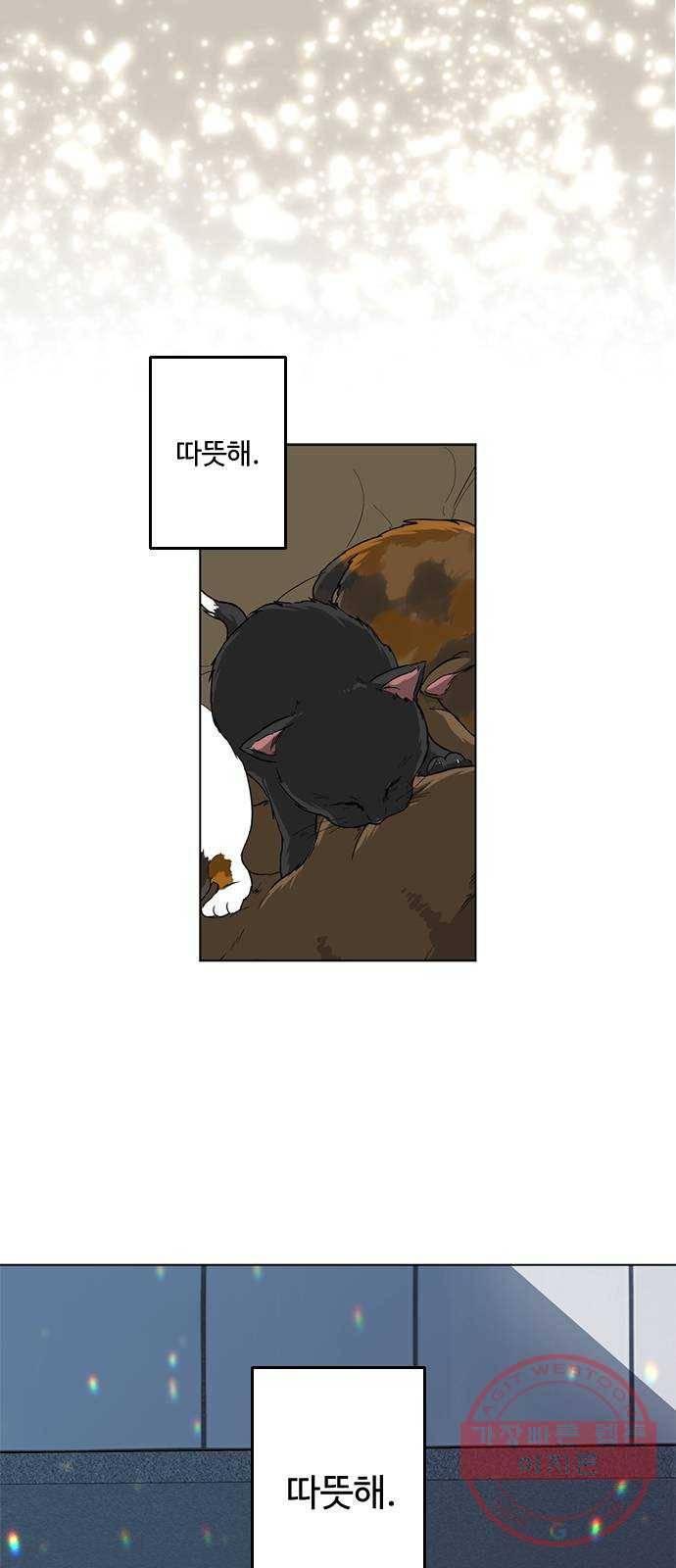 단편.zip 48화 고양이는 다시 돌아온다 - 김호랑 작가 7
