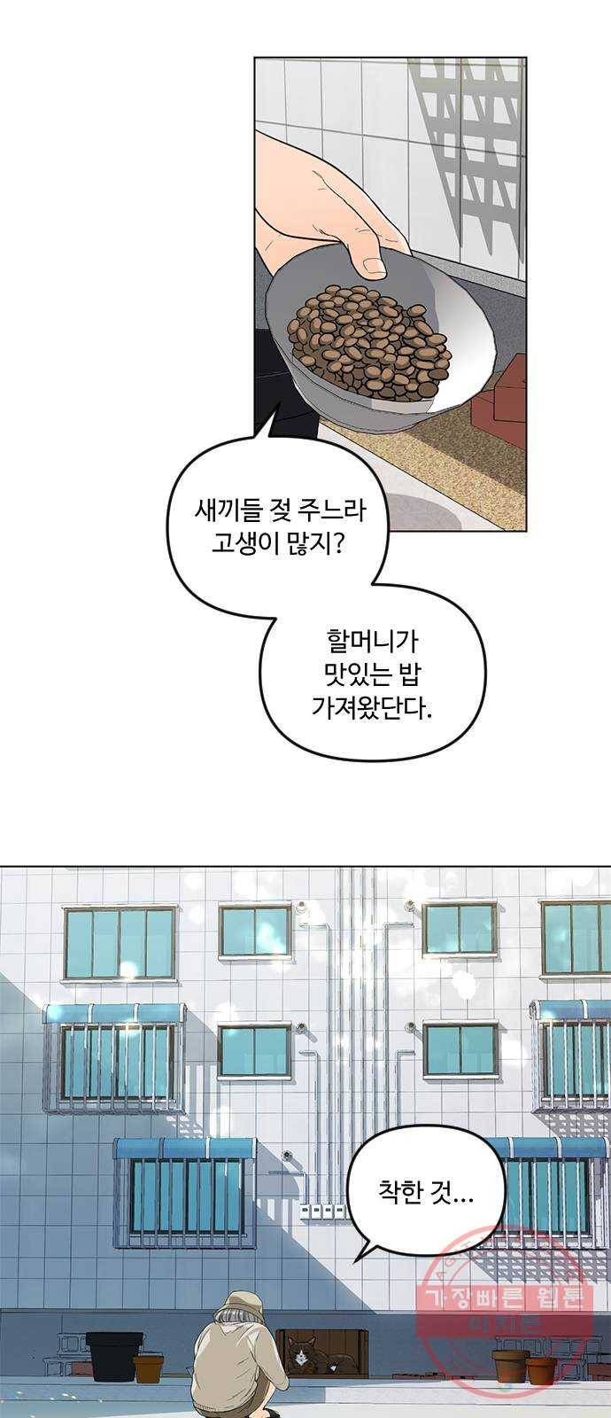 단편.zip 48화 고양이는 다시 돌아온다 - 김호랑 작가 9