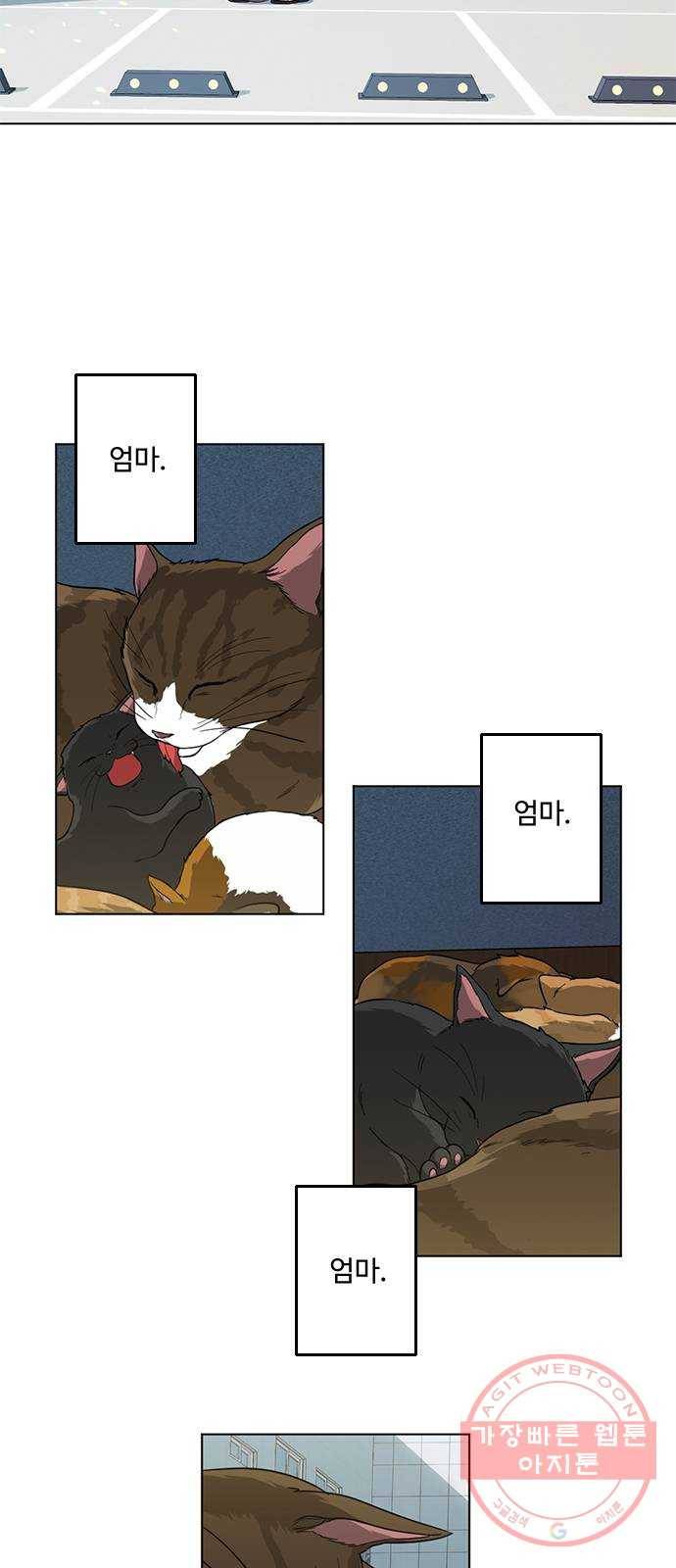 단편.zip 48화 고양이는 다시 돌아온다 - 김호랑 작가 10