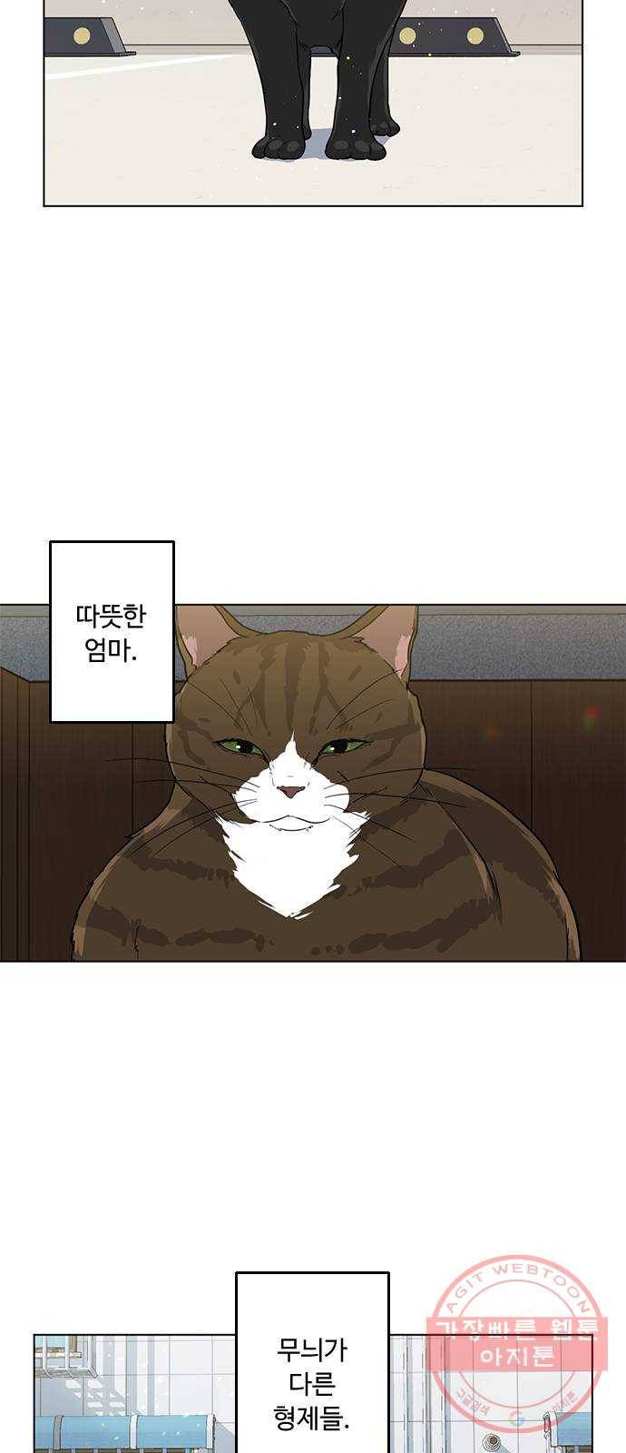 단편.zip 48화 고양이는 다시 돌아온다 - 김호랑 작가 12