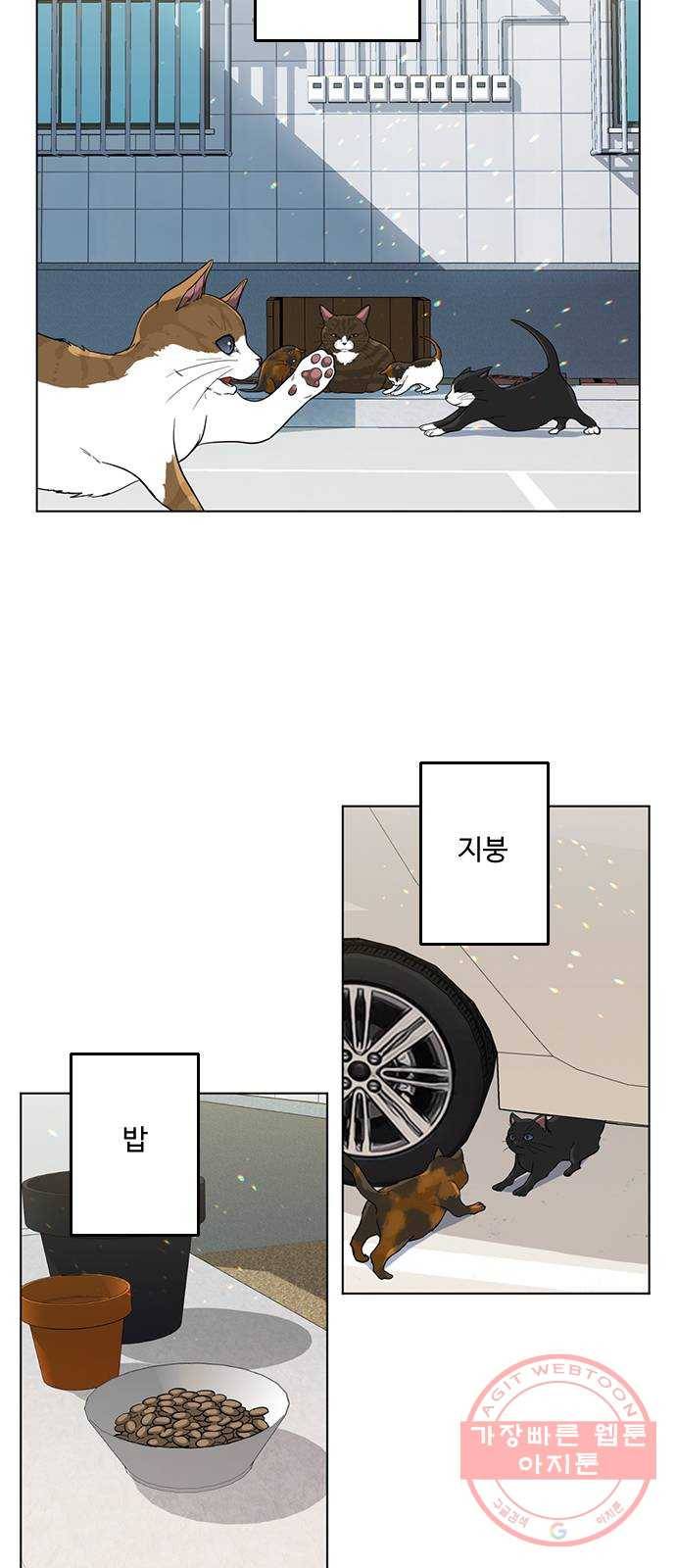 단편.zip 48화 고양이는 다시 돌아온다 - 김호랑 작가 13