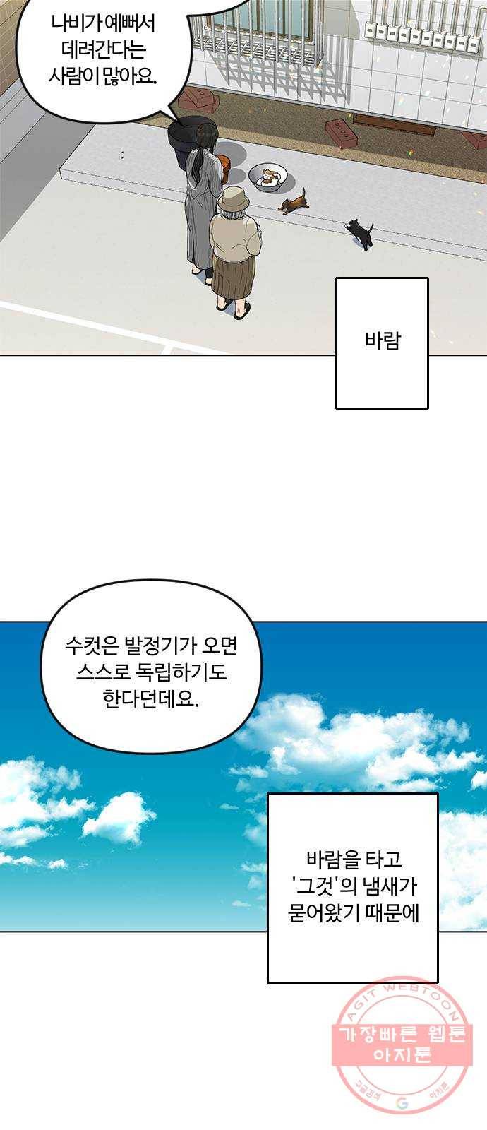 단편.zip 48화 고양이는 다시 돌아온다 - 김호랑 작가 15