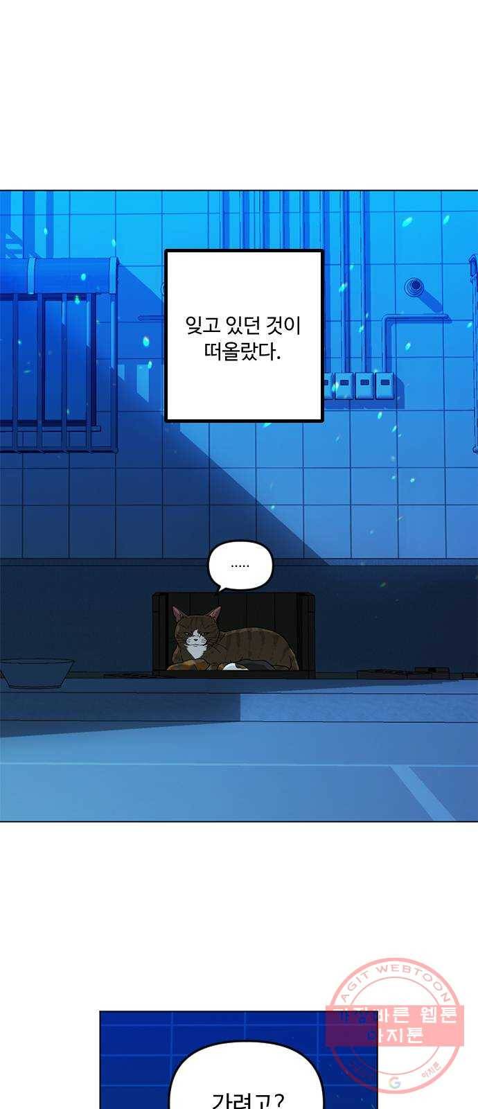단편.zip 48화 고양이는 다시 돌아온다 - 김호랑 작가 16