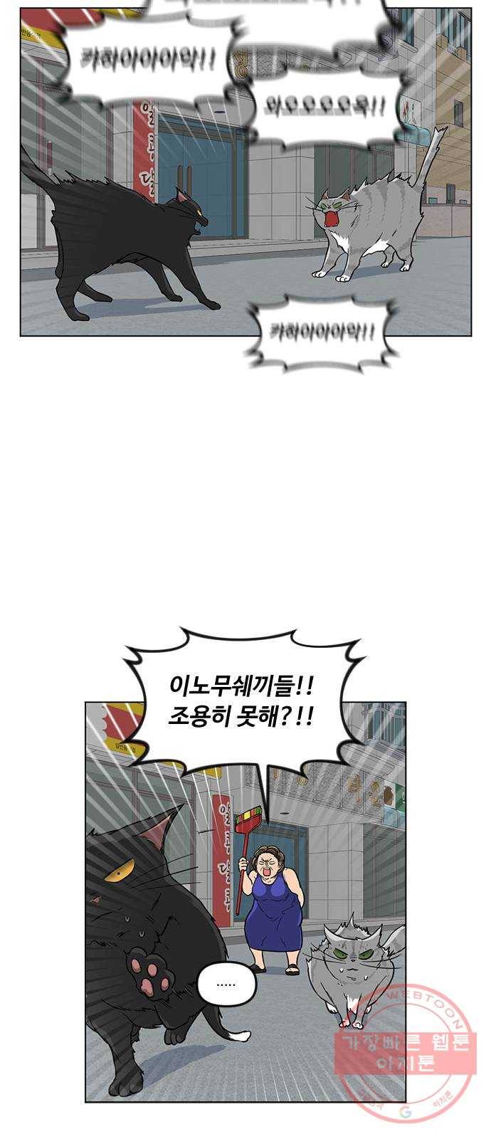 단편.zip 48화 고양이는 다시 돌아온다 - 김호랑 작가 21