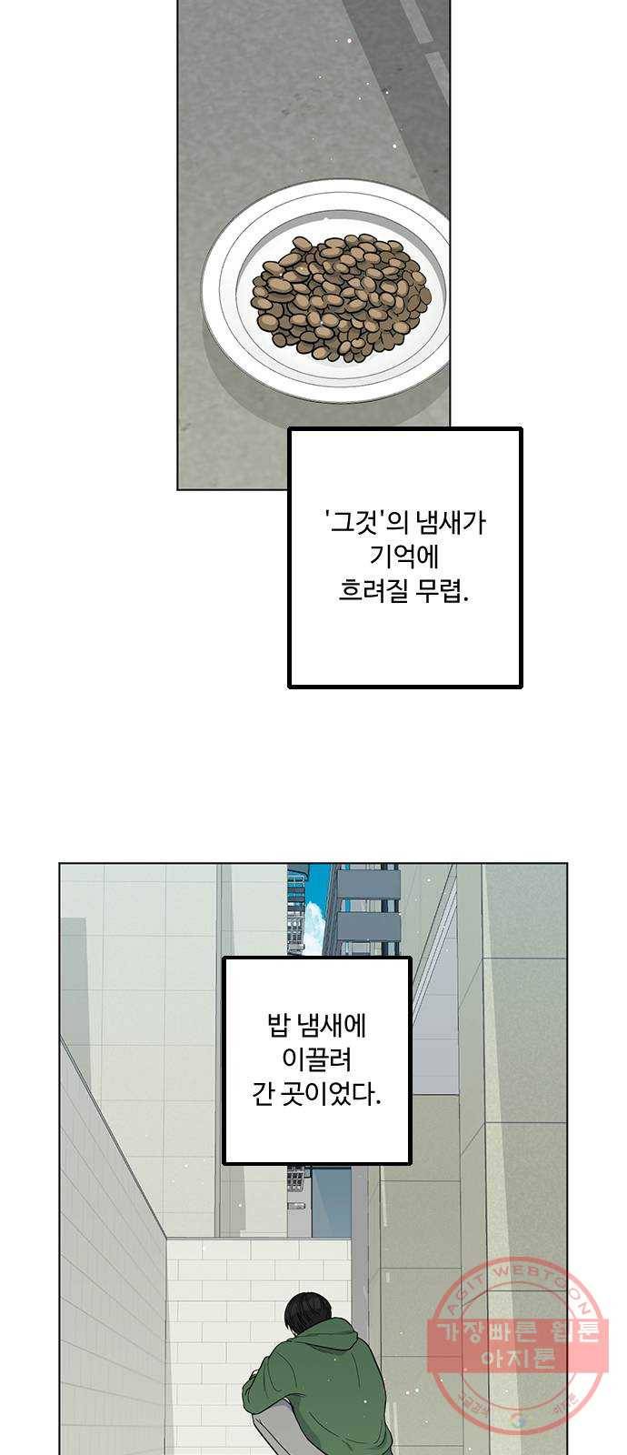 단편.zip 48화 고양이는 다시 돌아온다 - 김호랑 작가 23