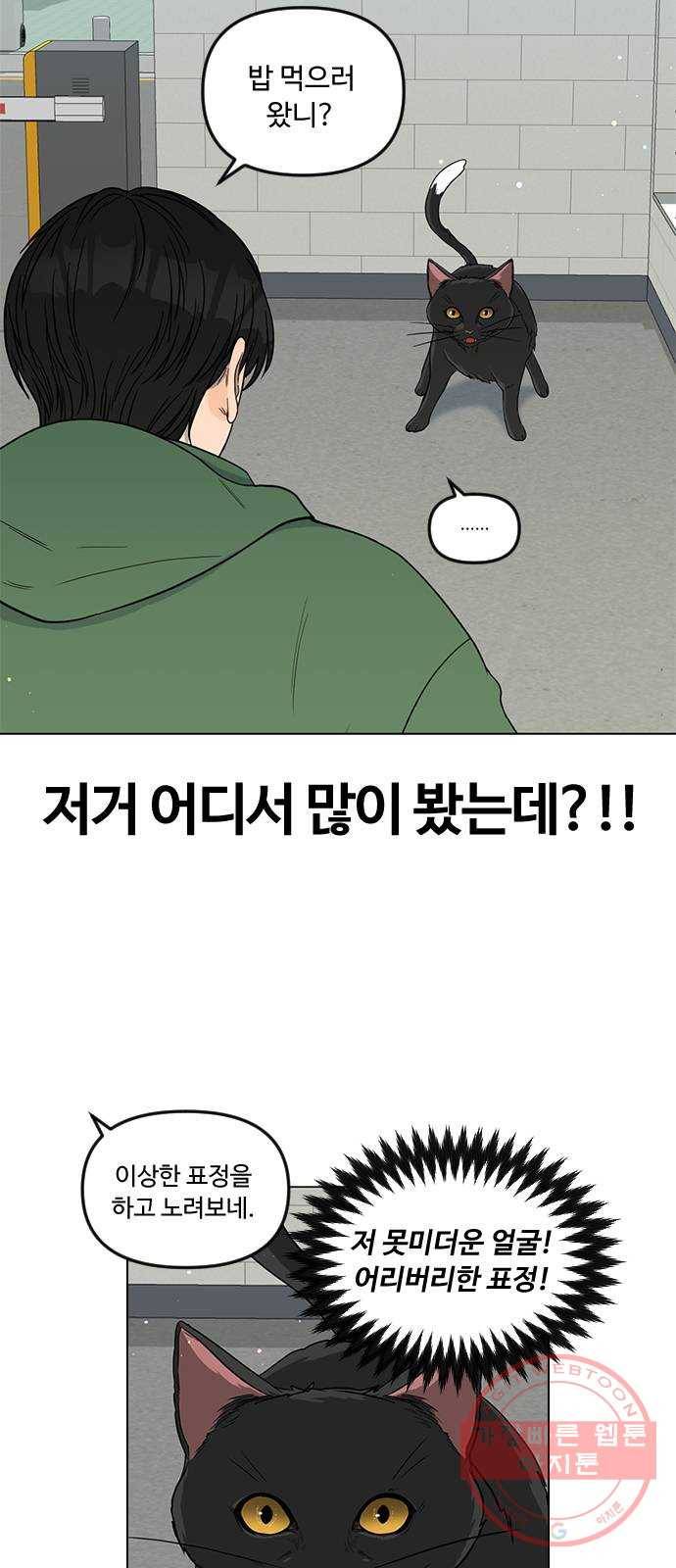 단편.zip 48화 고양이는 다시 돌아온다 - 김호랑 작가 26