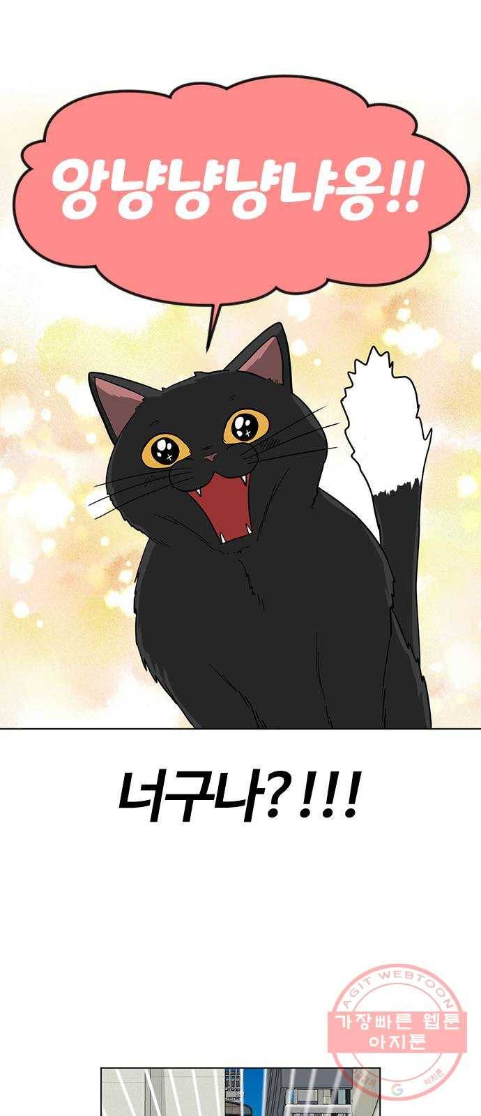 단편.zip 48화 고양이는 다시 돌아온다 - 김호랑 작가 30